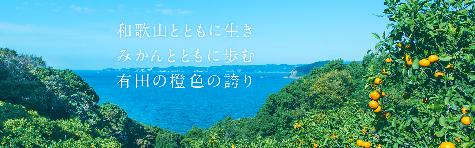 株式会社みかんの会