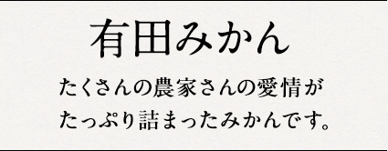 有田みかん たくさんの農家さんの愛情がたっぷり詰まったみかんです。