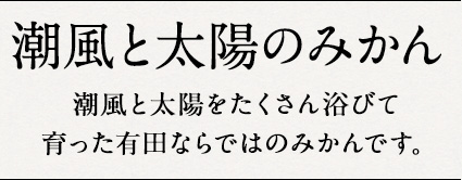 潮風と太陽のみかん 潮風と太陽をたくさん浴びて育った有田ならではのみかんです。