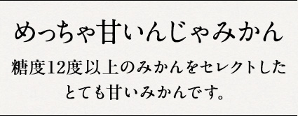 めっちゃ甘いんじゃみかん  糖度12度以上のみかんをセレクトしたとても甘いみかんです。