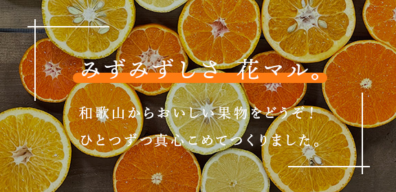 RANKING