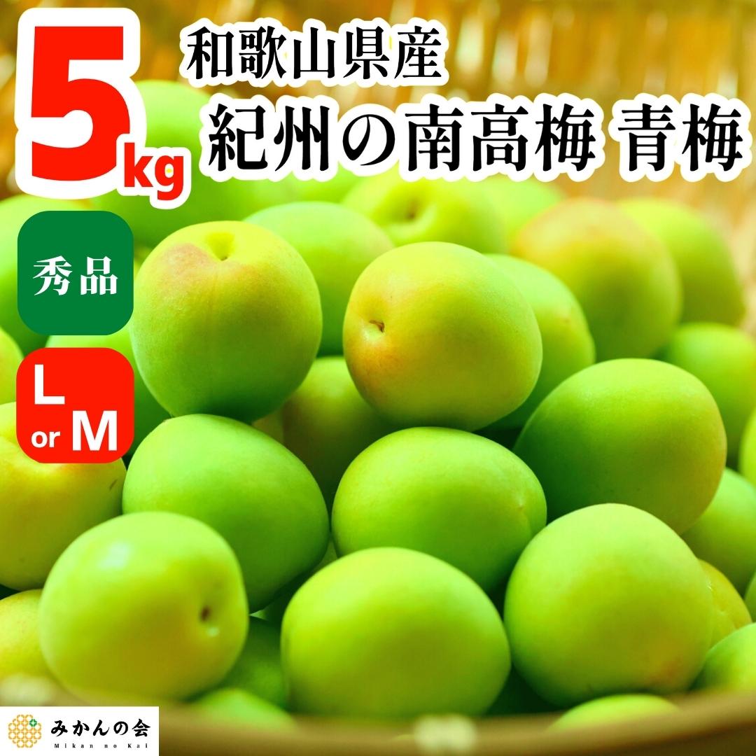 送料無料 非冷凍品同梱不可 青梅 大梅5kg (LMサイズ)1 - 通販