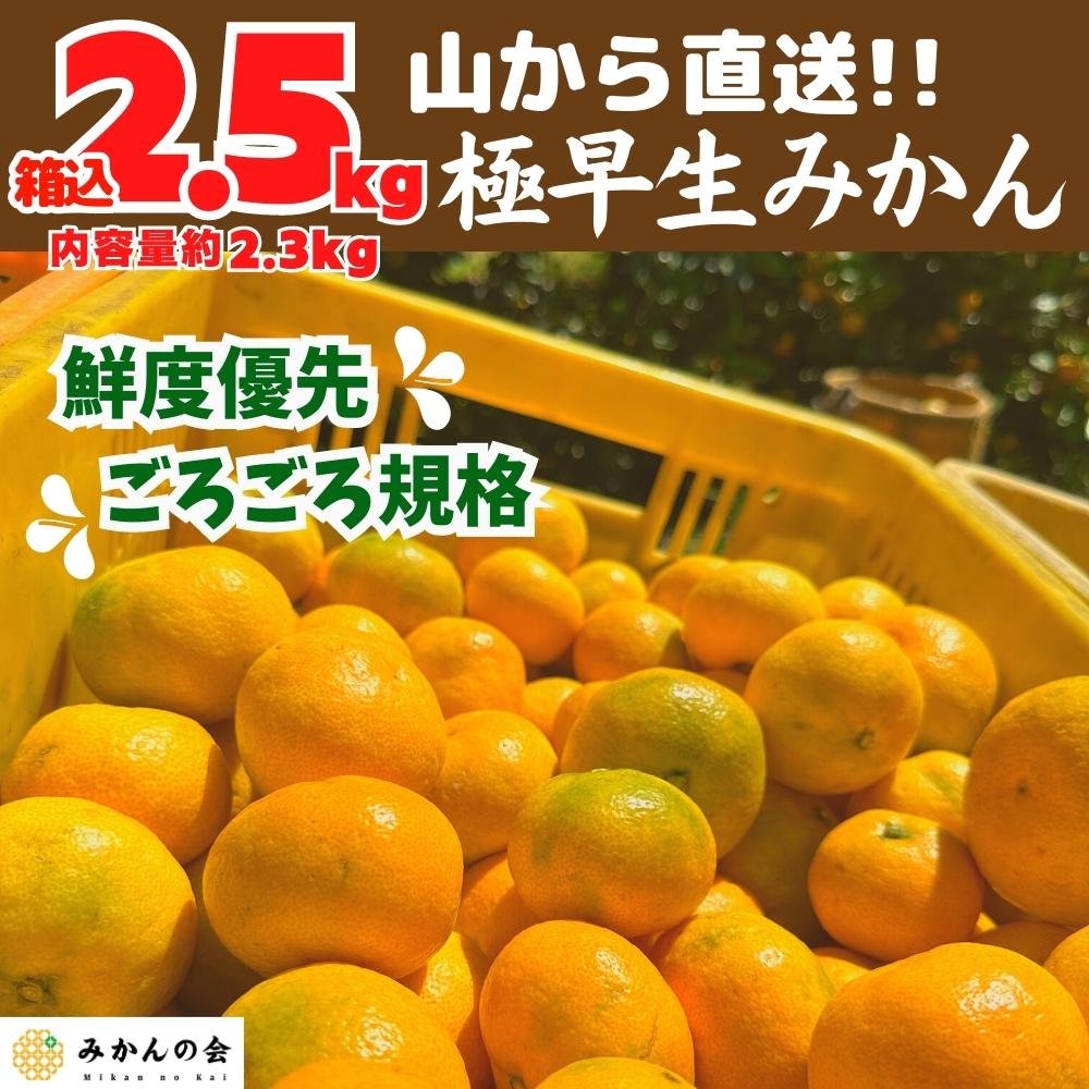 有田みかん　日南　2.5キロ