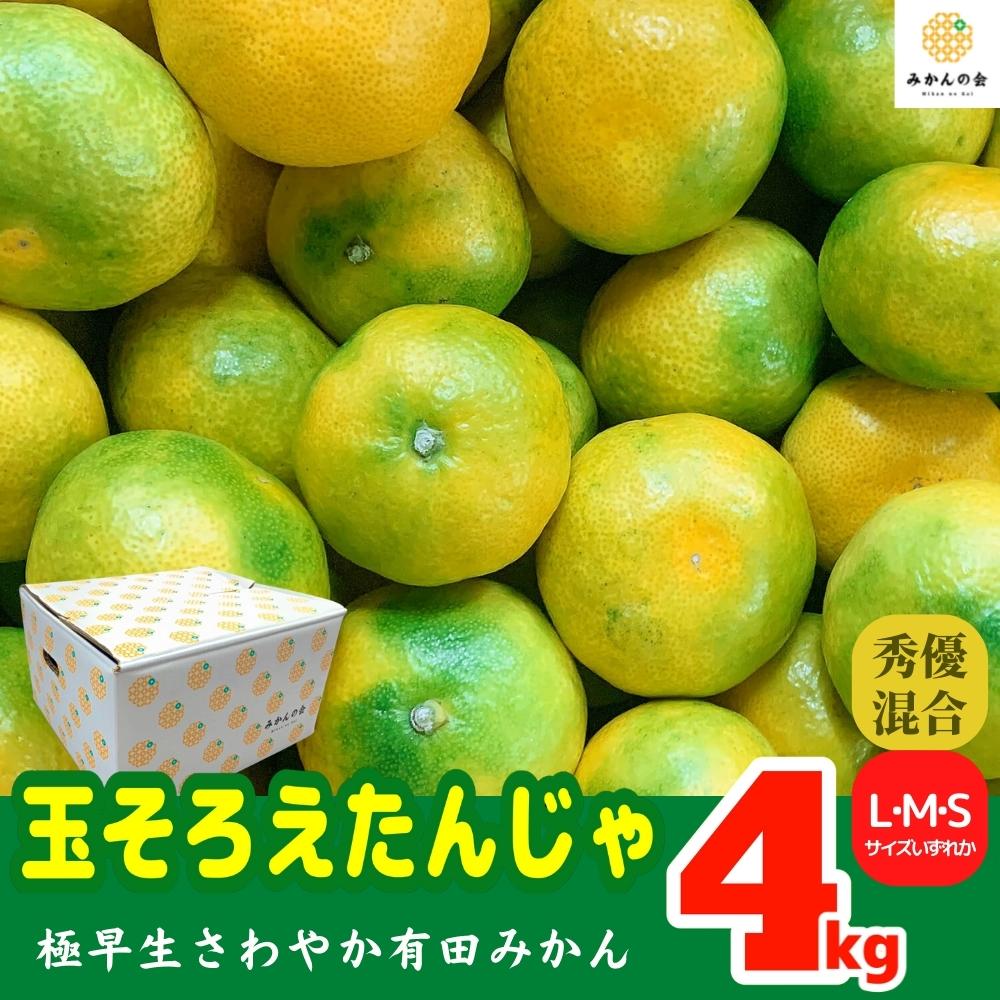 和歌山産有田みかん一箱4kg 通販のお買物