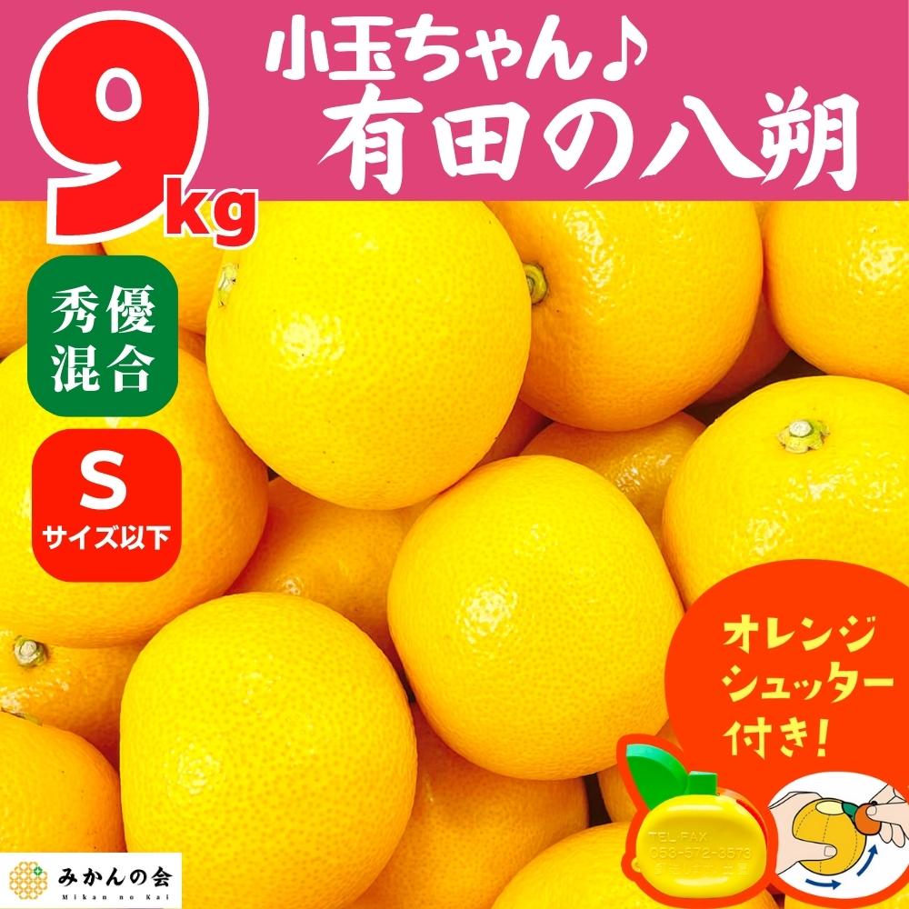 10周年記念イベントが はっさく 八朔 中～小玉 10キロ