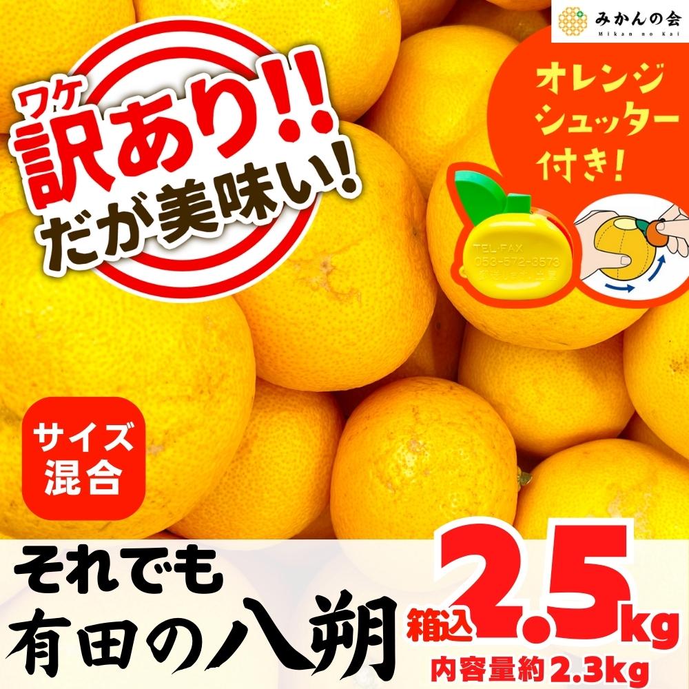 八朔　それでも　2.3kg)　箱込　2.5kg(内容量約　サイズミックス　和歌山県産　株式会社みかんの会　産地直送【おまけ付き】　2月10日より出荷　訳あり　(はっさく)