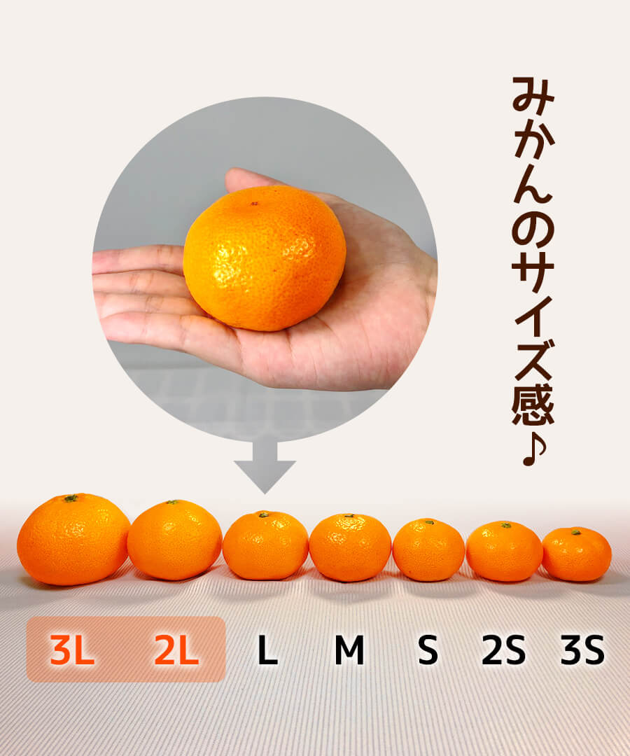 11月10日より発送】どっこいしょ 有田みかん 9㎏ 秀品 2L以上 和歌山県産 贈答用 【みかんの会】 | 株式会社みかんの会