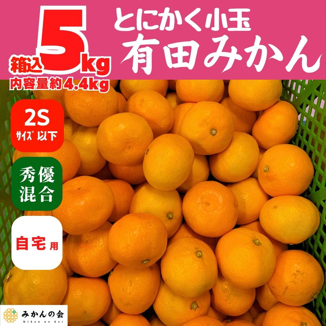 11月15日より出荷】みかん　2Sサイズ以下　家庭用　5kg　とにかく　混合　有田みかん　4.4kg　小玉　産地直送　箱込　秀品　内容量　優品　和歌山県産　株式会社みかんの会