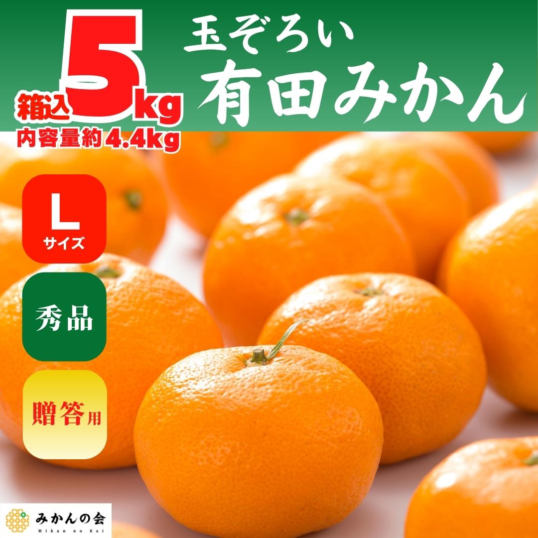 内容量　みかん　産地直送　箱込　和歌山県産　の会　11月15日より出荷】　有田みかん　Lサイズ　4.4kg　5kg　株式会社みかん　秀品　贈答用