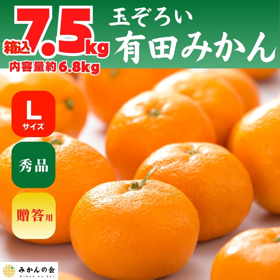 箱込　6.8kg　産地直送　贈答用　株式会社　秀品　Lサイズ　7.5kg　内容量　和歌山県産　11月15日より出荷】　みかんの会　みかん　有田みかん