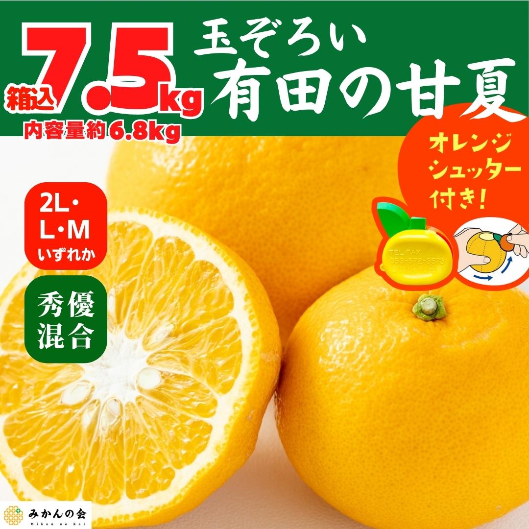 】2024年2月28日より出荷株式会社みかんの会　甘夏　サイズのいずれか　産地直送　内容量約　L　M　混合　【おまけ付き　玉ぞろい　2L　6.8kg　7.5kg　箱込　和歌山県　秀品　優品