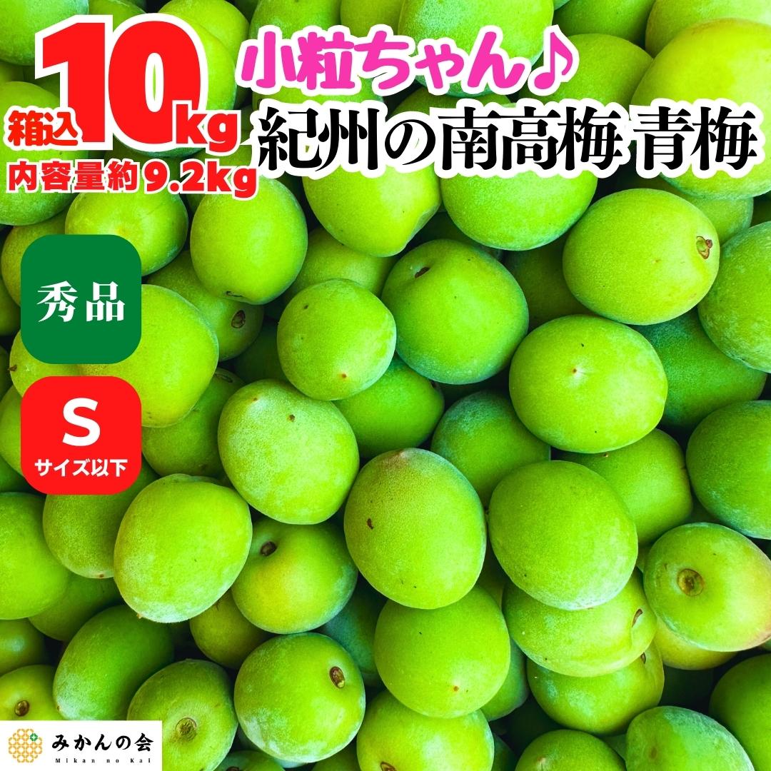 和歌山県産 南高梅 青梅 10kg