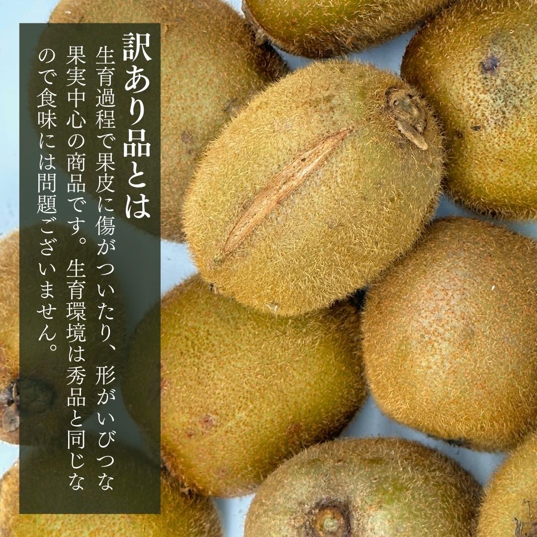 【3月30日より出荷】訳あり キウイフルーツ 国産 低温貯蔵 サイズミックス 箱込 2.5kg (内容量約2.3kg) 【クール便】 和歌山県産  産地直送