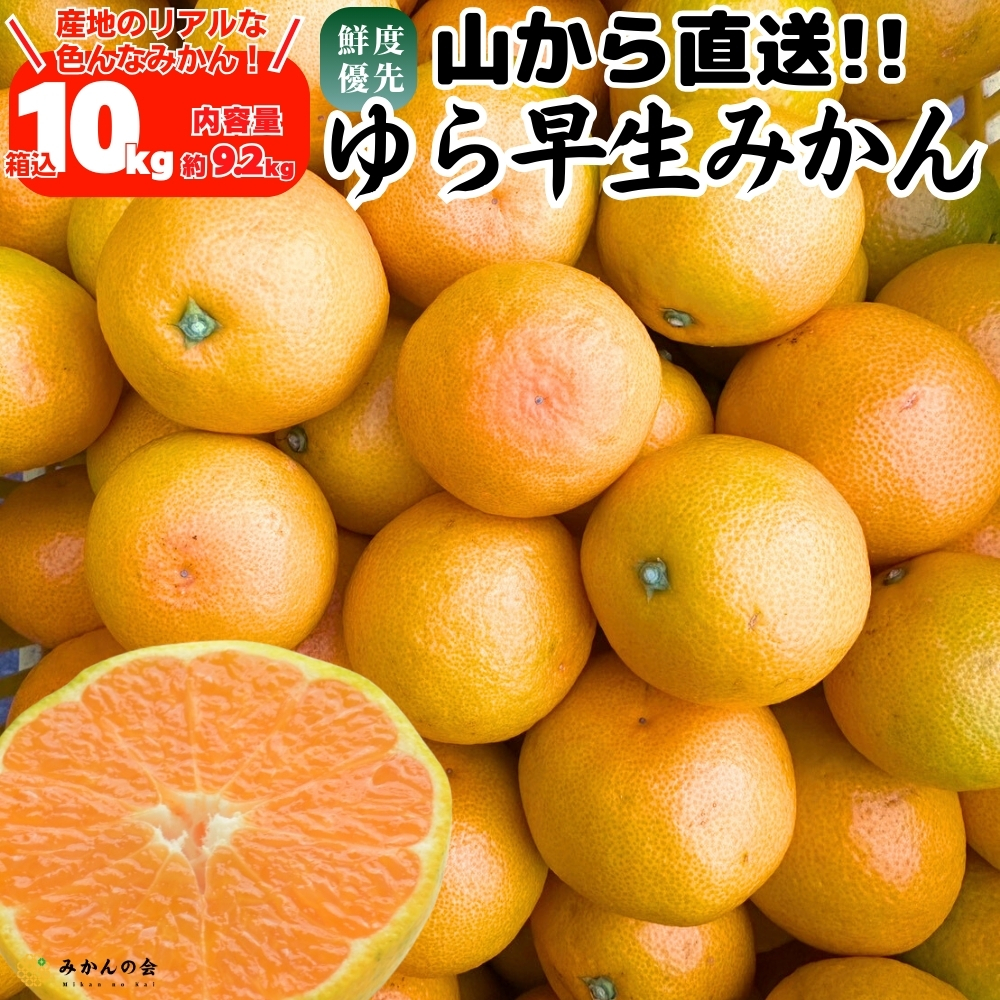 早生みかん 10kg 和歌山 通販 有田みかん 秋みかん 産地直送 果物