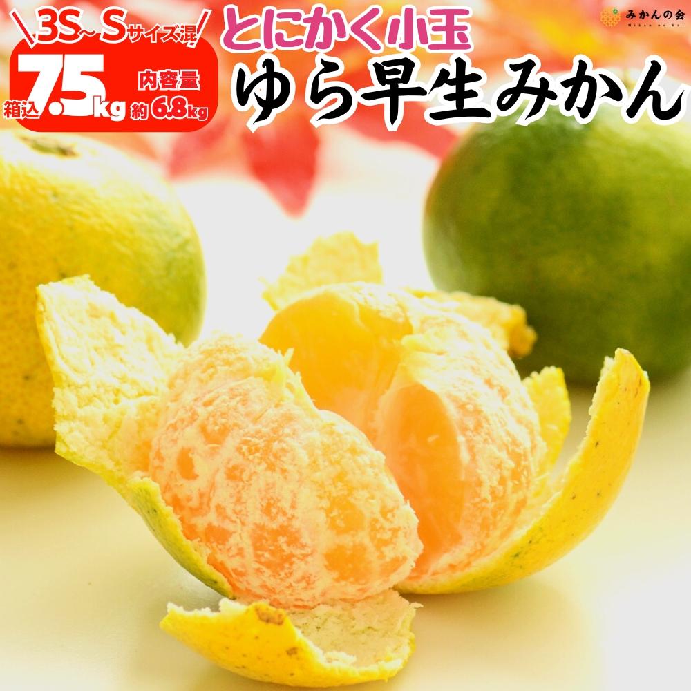 ゆら早生みかん | 株式会社みかんの会通販サイト