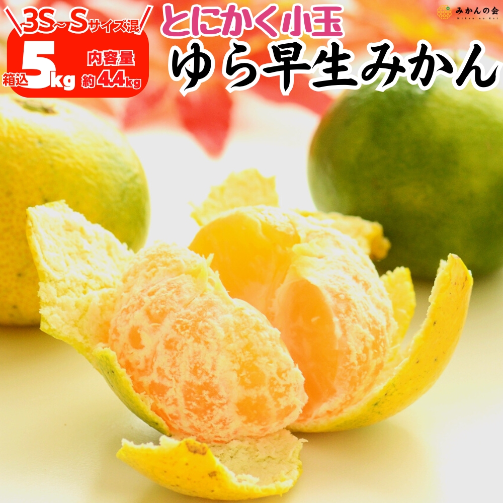 ゆら早生みかん | 株式会社みかんの会通販サイト