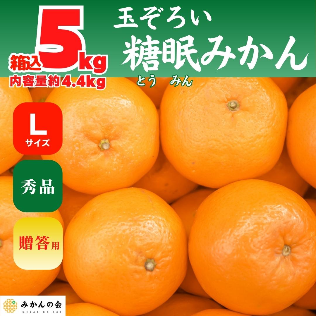 産地直送　秀品　Lサイズ　和歌山県産　株式会社みかんの会　玉ぞろい　箱込　熟成　内容量　4.4kg　5kg　みかん　1月20日より出荷　有田みかん　贈答用