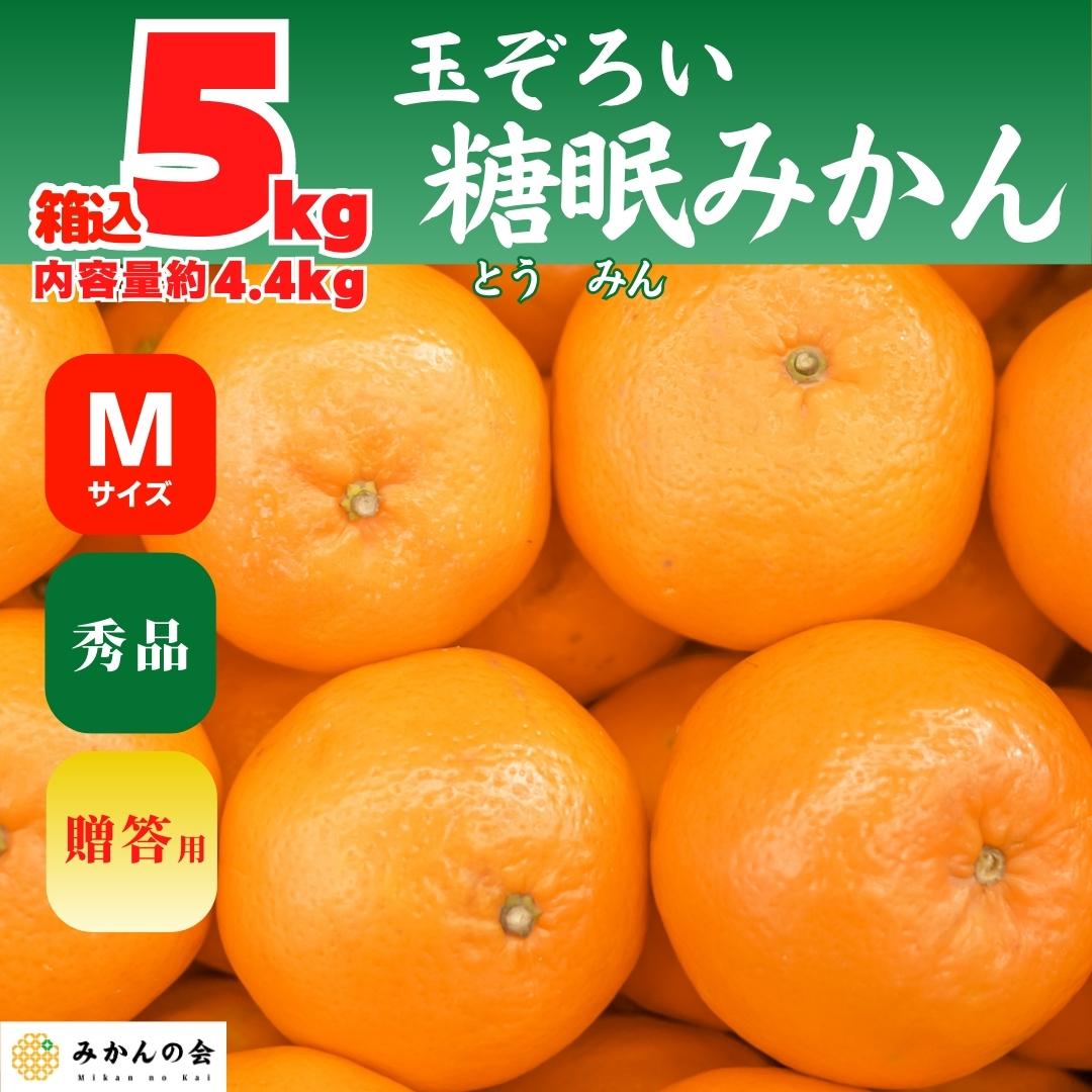 熟成　箱込　4.4kg　有田みかん　株式会社みかんの会　みかん　Mサイズ　内容量　玉ぞろい　秀品　5kg　贈答用　和歌山県産　産地直送　1月20日より出荷