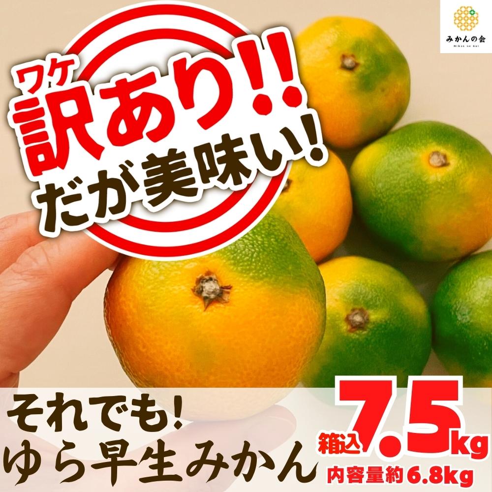 訳あり　6.8kg　10月20日より出荷　ゆら早生　サイズミックス　箱込　みかん　和歌山県産　7.5kg　内容量　有田みかん　株式会社みかんの会