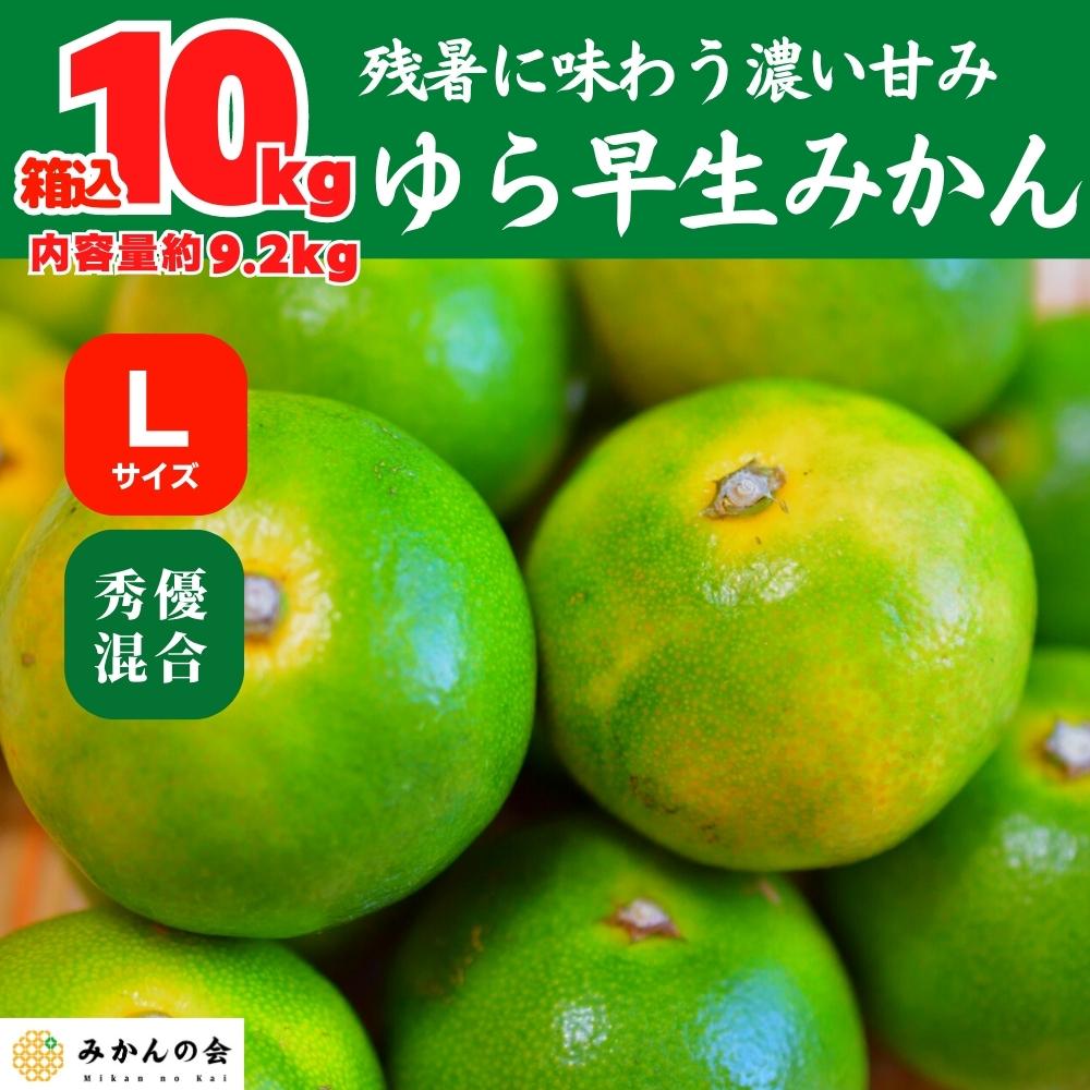 ゆら早生 みかん 箱込 10kg ( 内容量 9.2kg ) Lサイズ 秀優混合 有田みかん 和歌山県産 10月20日より出荷