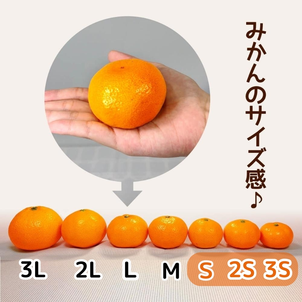 みかん 小玉 10kg 早生みかん 秀品 優品 混合 和歌山県産 産地直送