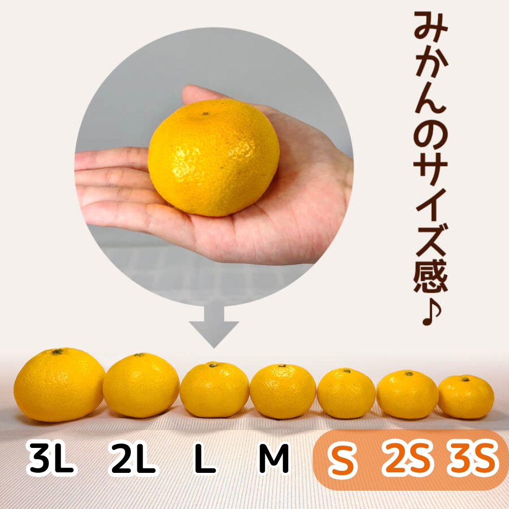 YL-MKN-KDM-AB-2SDWN-3