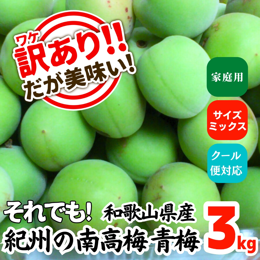 匿名配送】山形県産 幻の谷沢梅 完全無農薬 サイズミックス10