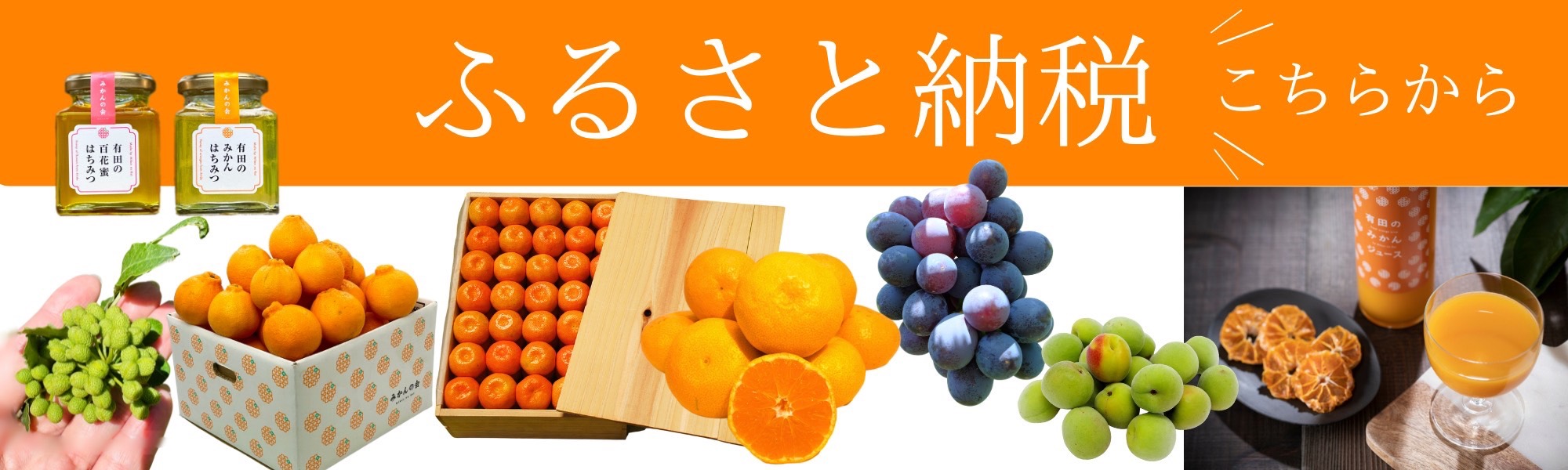 産地を応援‼　ふるさと納税サイト