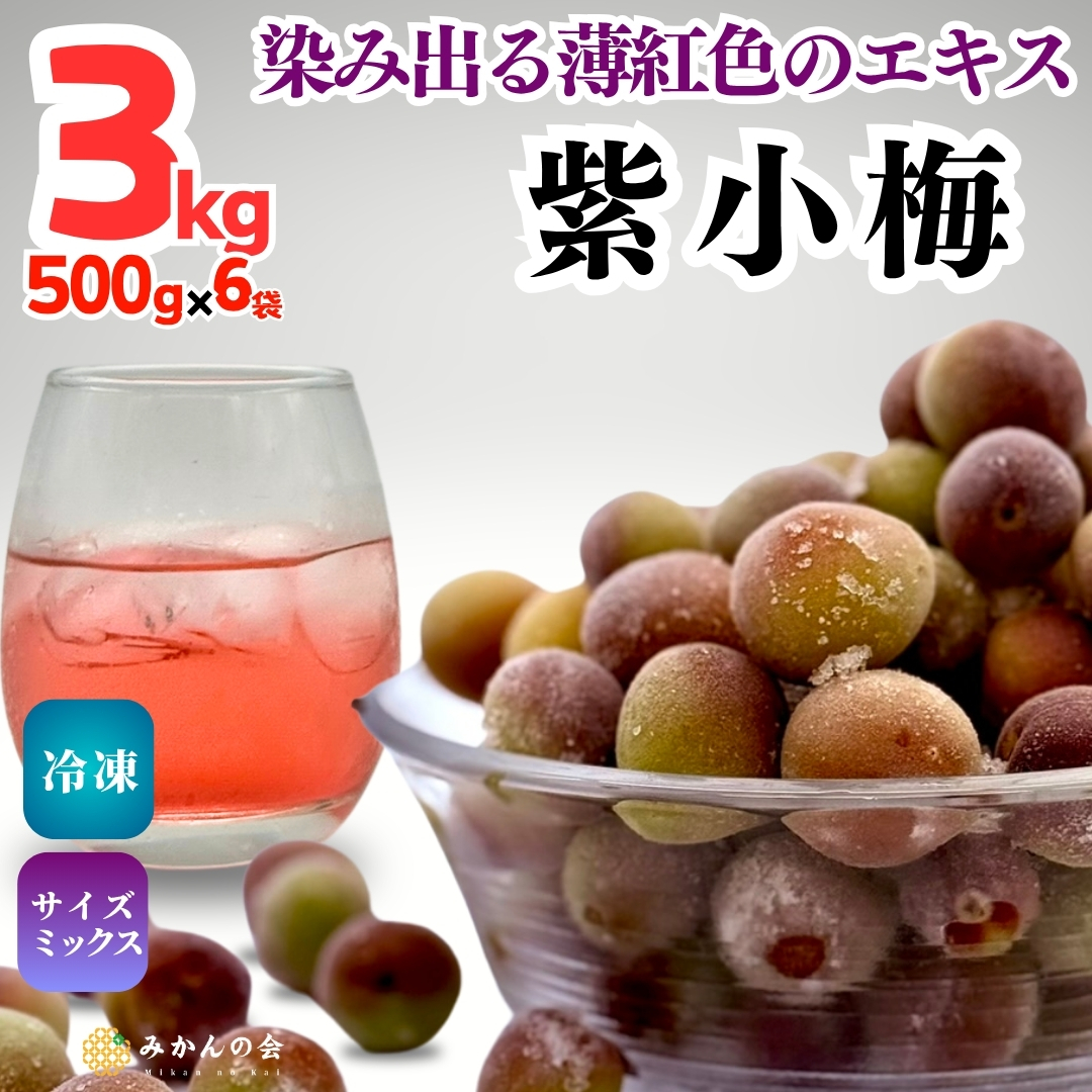 本日発送　10kg 青梅 冷蔵)青梅の豊後梅中玉約10kg(L約3cm前後)※6月末～7月初旬から