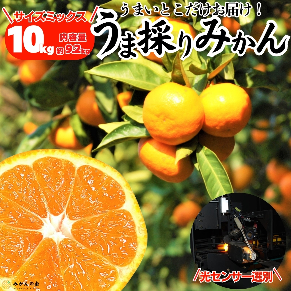 みかんサムネ真四角2025 (24)