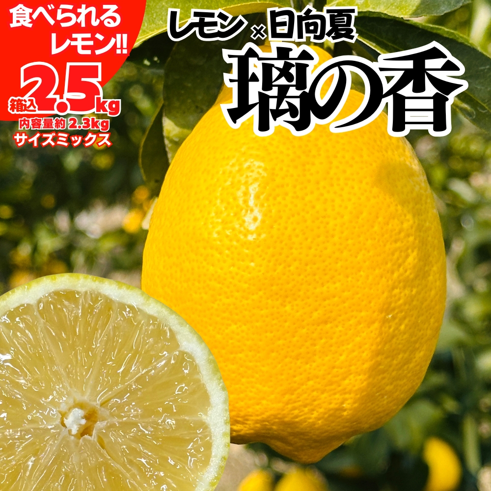 レモン(檸檬) | 株式会社みかんの会通販サイト