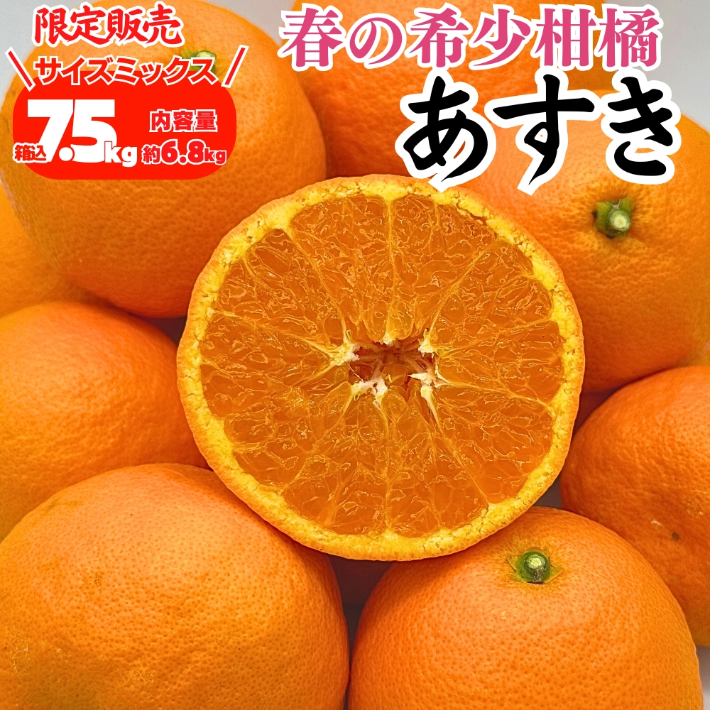 希少 柑橘 あすき 珍しいはるみ 濃厚 オレンジ 数量限定 柑橘 みかん